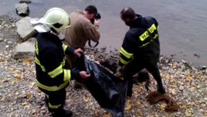 Otrasné! Vo Váhu utopili psíka, zviazali mu nohy