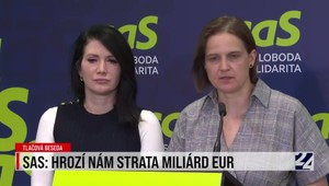 SaS: Hrozí nám strata miliárd eur