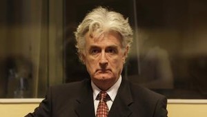 Karadžič požiadal o pozastavenie procesu