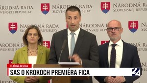 SaS o krokoch premiéra Fica