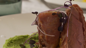 Hlavné jedlo: Semafor