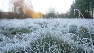 Presne pred 90 rokmi padli teplotné rekordy. Takto bolo na Slovensku