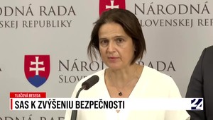 Tlačová beseda SaS k zvýšeniu bezpečnosti