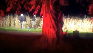 Na cyklotrase pri Dunajskej Strede našli dobodaného muža (†67)