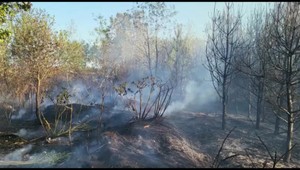 V okrese Malacky vypukol požiar, na mieste mali dvaja hasiči skolabovať