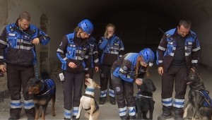 Netradičná spolupráca: Pri výcviku sa stretli záchranárski a služobní psovodi