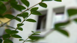 Policajtov v noci privolali k mŕtvemu telu. Žena mala na tvári i na hlave vážne poranenia