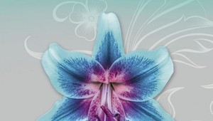 Miluj ma navždy: Nové vydanie jednej z najúspešnejších kníh Kataríny Gillerovej