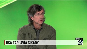 Štúdio 24: USA zaplavia cikády