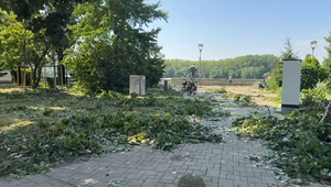 Topole, ktoré mohli zabíjať. Na bratislavskom nábreží pripomenul vietor problém, ktorý sa dlhé roky odkladá