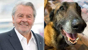 Rodina nesplní jedno z posledných prianí Alaina Delona: Týkalo sa jeho domáceho miláčika!