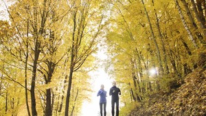 Počas jesene je naša imunita oslabená. Ako ju posilniť?