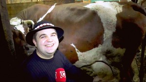 Reportér a zvieratá? Takto vedia sťažiť prácu...