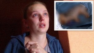 Psy roztrhali dievčatku (6) yorkshira. Ich majiteľka to považuje za trápne!