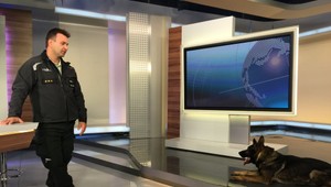 Najlepší policajný pes nepotrebuje svojho pána počuť