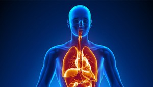 Za všetkým hľadaj bielkoviny: 8 príznakov, že vášmu telu chýba proteín