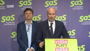 Tlačová beseda strany SaS k aktuálnej politickej situácii