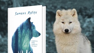 Pozrite sa lepšie. Uvidíte to, čo vrah! Severské krimi Vlk