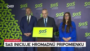 Tlačová beseda: SaS iniciuje hromadnú pripomienku