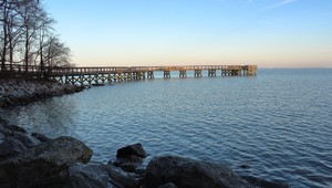 Neuveriteľné: Ukrýval sa na Zemi milióny rokov a teraz ho objavilo 9-ročné dievča