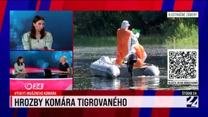 Štúdio 24 o hrozbách komára tigrovaného