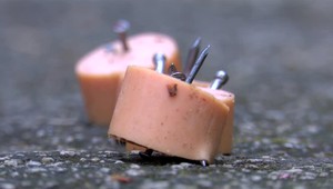 Obyvatelia žilinského sídliska žijú v strachu. Pri venčení musia striehnuť na nebezpečné návnady