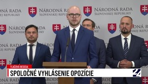 Tlačová beseda opozície k medzinárodnej hanbe na pôde Svetovej zdravotníckej organizácie