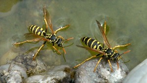 Znepokojujúci nález: V bývalej základni jadrových zbraní našli rádioaktívne osy
