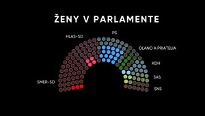 Voľby do NR SR 2023: Len 22 percent zo zvolených poslancov sú ženy