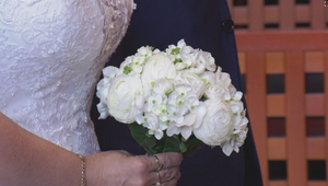 Sobáše, dary a zvieratá v podnikoch: Advokátka odhaľuje právne mýty, ktorým ľudia veria