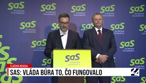 SaS: Vláda búra to, čo fungovalo
