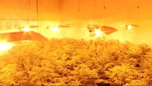 Megaúlovok policajtov! Mladíkovi našli 30 kíl drog