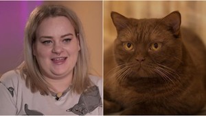 Chlpatí kamoši budú tŕňom v oku hosťom Paulíny: TOTO poznajú všetci majitelia mačiek!