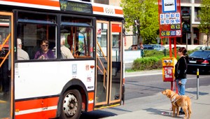 Koľko vypotíme v MHD? Športovci verzus bežní cestujúci