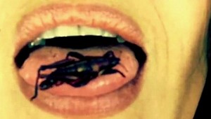 Toto nie je veľmi sexi! Ktorá slávna kráska zjedla obrovský hmyz?