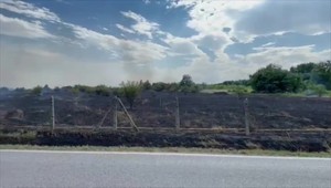 VIDEO: Obyvateľov prekvapil ďalší požiar. Plamene zachvátili ovocný sad