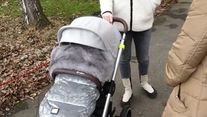 Kočík si našla v záložni: Okradnutá mamička ho vypátrala sama