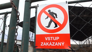 Usmrcovanie nakazených zvierat slintačkou: Prevezú ich do jedinej kafilérie na Slovensku