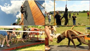 Pitbull Show v Modre. Súťažili štvornohí miláčikovia