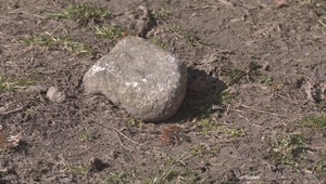 Agresor v centre mesta: Kameňom ničil autá, kopal do dverí bytu