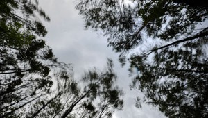 Slnečné počasie cez víkend vystriedajú prehánky. Večer očakávajte silný vietor