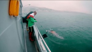 Majstrovstvá Európy v zimnom plávaní: Slováci získali 11 medailí