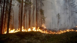 FOTOGALÉRIA: Lesné požiare už aj za polárnym kruhom
