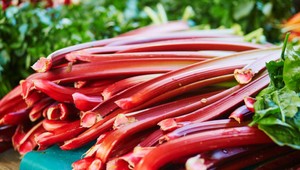 3 najviac zanedbávané zeleniny, ktorými si môžete poriadne nabiť svoje telo