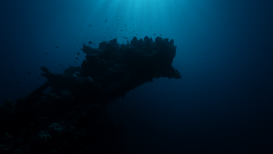 Z hlbín Mariánskej priekopy zaznel zvuk: Vydesil vedcov