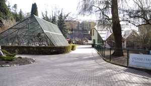 Aj  zoologická záhrada má homeoffice, ale tak ako si to predstavujú deti s opicou či šelmou doma, by to nešlo