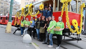 Žltá farba rozžiarila mestá Slovenska. Deň narcisov opäť za dobrú vec