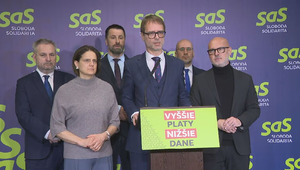 Tlačová beseda strany SaS: Vyšetrovanie záchrankového tendra