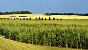 Roky neriešené pozemkové vlastníctvo musí podstúpiť zmenu