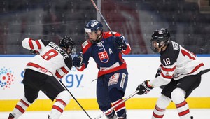 Čajkoviča vyhodili z kempu pred šampionátom